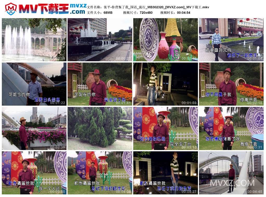 张平-你背叛了我_国语_流行_MB302320